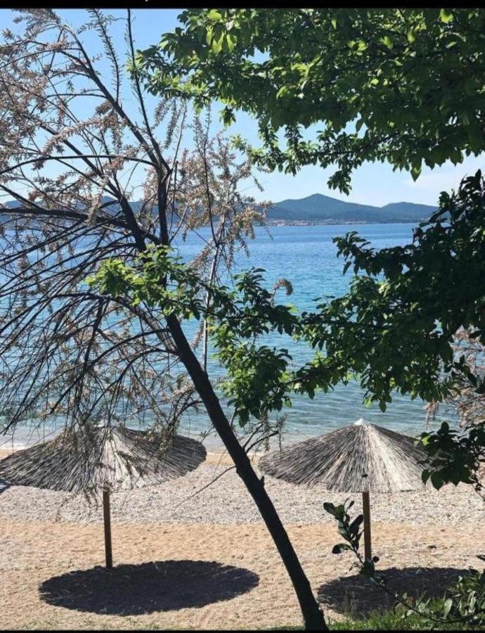 Luxury Majpruz Suites I Zadar Exterior photo